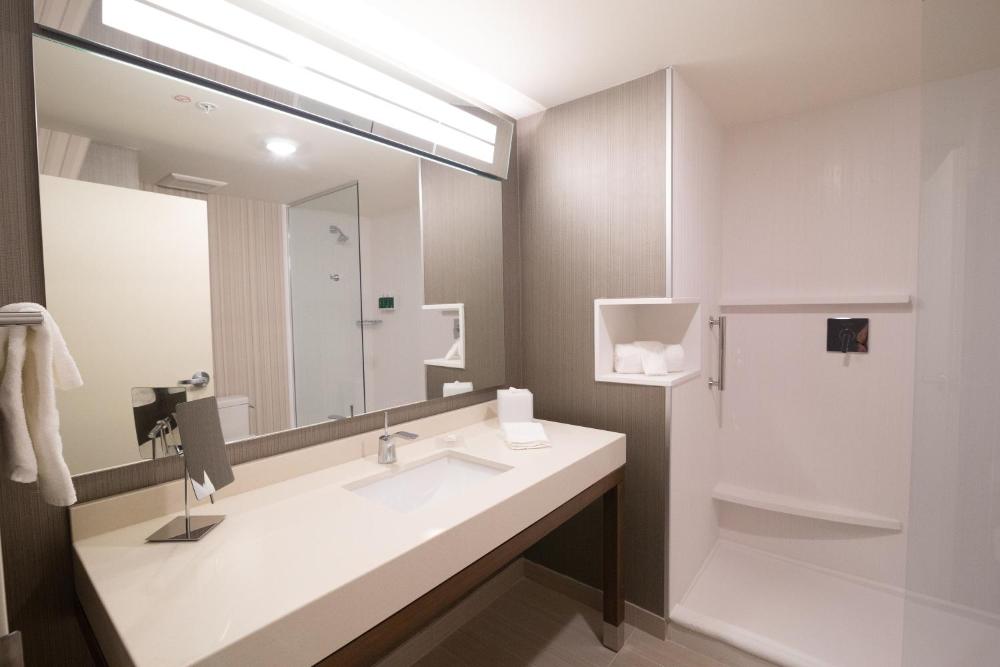 Suite, 1 King, Sofa bed interior